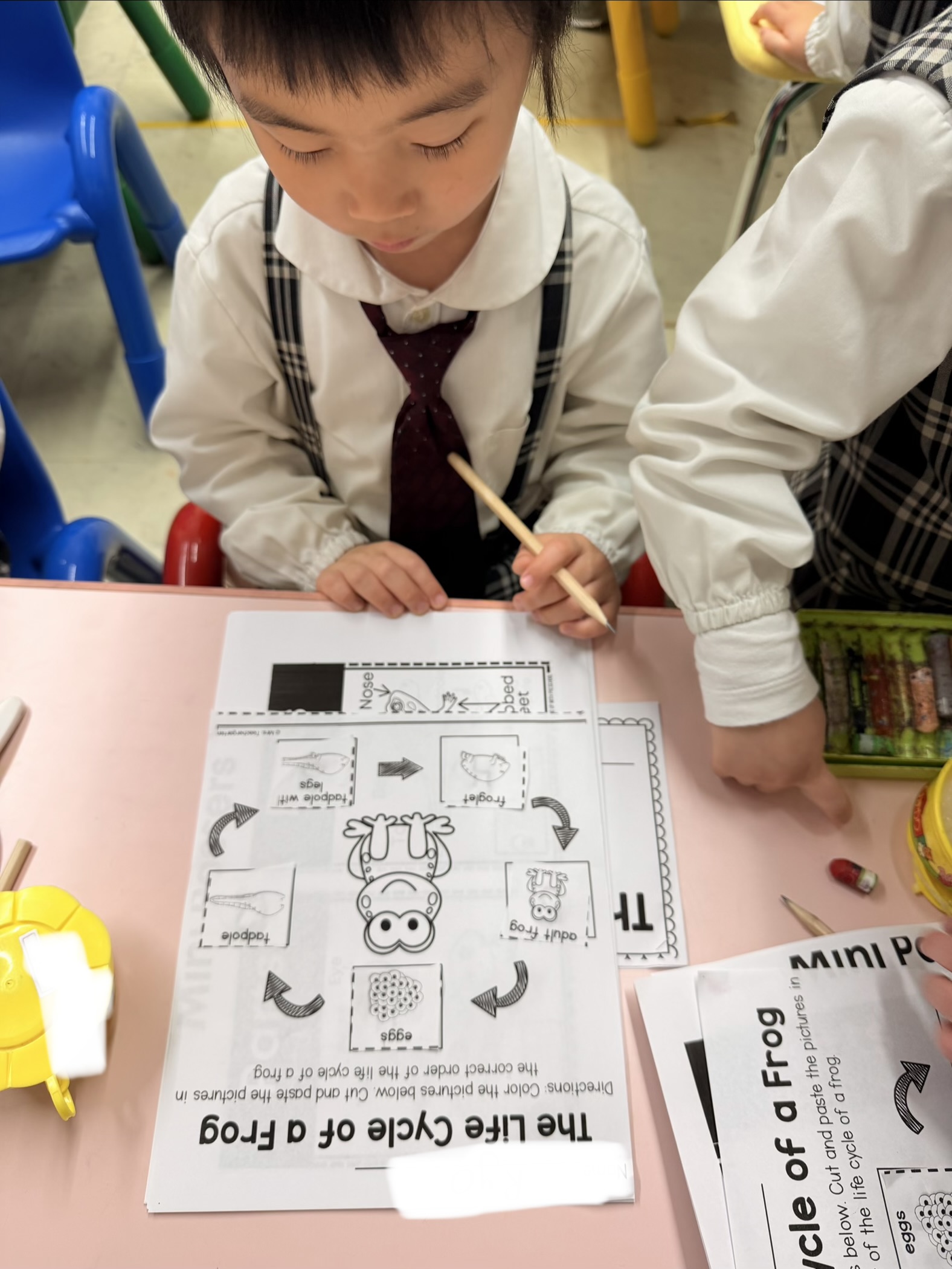 Exploring Metamorphosis 🐸🦋