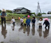 田植え体験で育む「本物の学び」 田植え体験で育む「本物の学び」