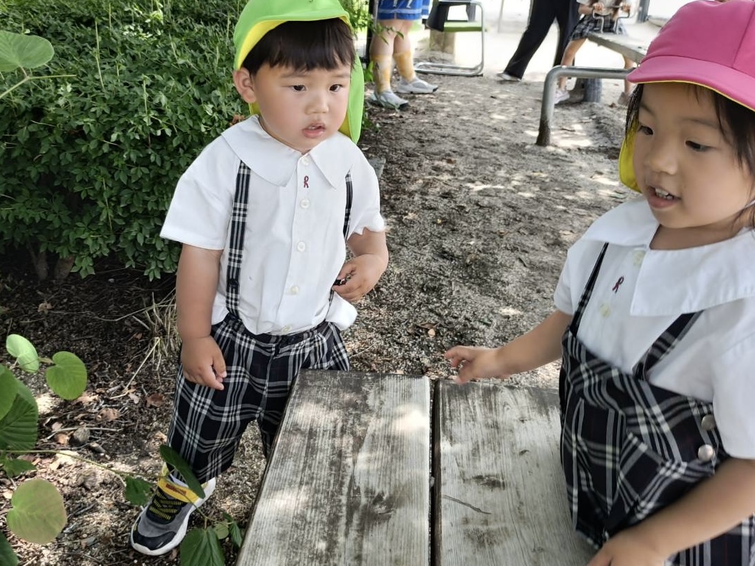 京都から、世界とつながる学びを子どもたちへ