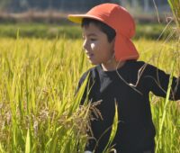 子どもの将来の選択肢と英語の大切さ 子どもの将来の選択肢と英語の大切さ